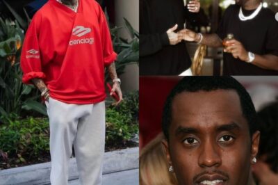 Chris Brown Exposes Dark Truth Behind Diddy’s Rejection—It Wasn’t About the Music