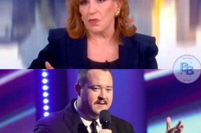 ‘The View’ Host Joy Behar Shames Shane Gillis for Blaming Failed ESPYs Joke on Writers: ‘That’s Bad Form’