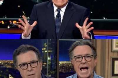 After his show was abruptly canceled, Stephen Colbert warned CBS executives that he would not keep quiet about the situation.