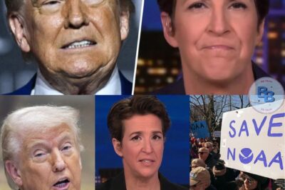 Rachel Maddow SHREDS Trump’s Counterterrorism Pick in Scathing Segment—“Inexperienced, Unfit, and Dangerous!” Viewers Say It’s Her Most Blistering Takedown Yet!