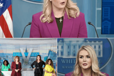 The Most Shocking Shutdown of the Year: Karoline Leavitt’s Failed Attempt to Redefine Male Dignity