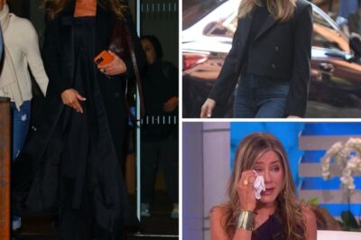 Jennifer Aniston has faced intense pressure from the media and the public over the years, revolving around a persistent obsession that has left her feeling deeply hurt. Behind the radiant star image lies a loneliness and misunderstanding that few people know about.