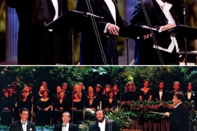 The GOAT, the King of Opera, inheritor of the crown of greatest tenor of all time, sings this Lara classic like no one else. And why not, he started singing it so young when puttering around the courtyard, everyone started calling him “Granadine.” Bravi a tutti. Paz. Plácido Domingo took the stage to sing “Granada”, a beloved song by the legendary Mexican composer Agustín Lara. This performance, alongside fellow tenors Luciano Pavarotti and José Carreras, is widely regarded as one of the defining moments of the 1990s in classical music and opera.