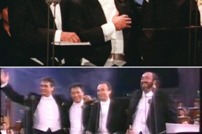 Not a single mention of Verdi’s genius? The greatest rock star of all times! Luciano Pavarotti’s 1993 rendition of Brindisi from La Traviata stands as one of the most memorable and celebrated. Brindisi, also known as Libiamo ne’ lieti calici, is the famous drinking song from Giuseppe Verdi’s La Traviata, and it remains one of the most beloved arias in the operatic repertoire.