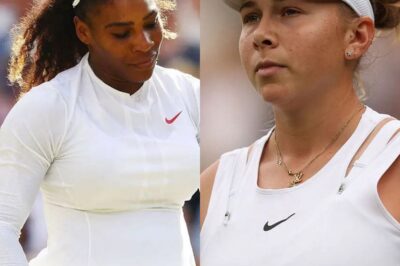 “Serena Williams got penalized for everything”: Fans bring back American’s US Open controversy after Amanda Anisimova escapes hindrance at Wimbledon