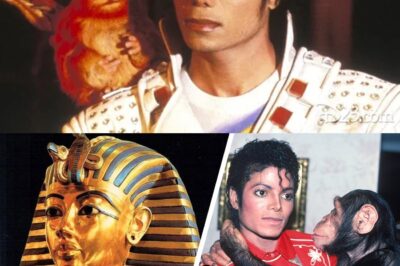The Bizarre Things Michael Jackson Tried to Buy: A Deep Dive into the King of Pop’s Eccentric Purchases