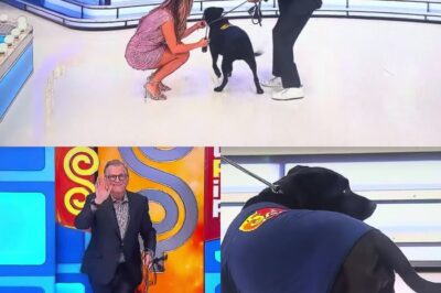 ‘Price is Right’ host Drew Carey’s dog makes a debut on the show and fans are here for it