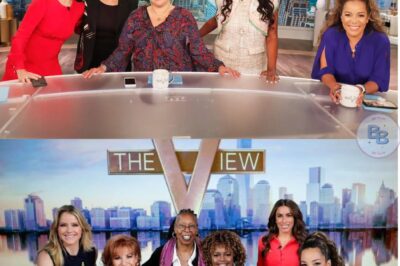 The View’s Execs Break Their Silence After Week-Long Pause – Fans Let Down by Real Reason for the Show’s Absence