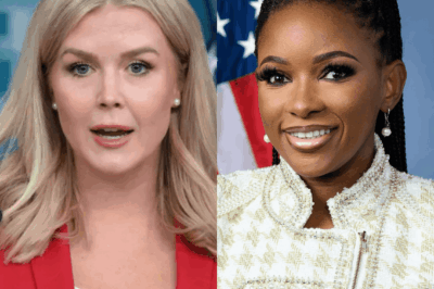 Leavitt Smirked — Then Jasmine Crockett Dropped a Verbal Bomb That Silenced the Entire Studio… And Social Media Called Her “The Real Voice”