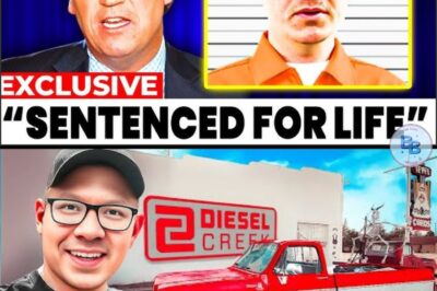 What Really Happened To Matt Stetar From Diesel Creek?