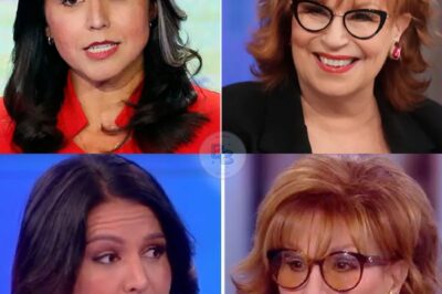 Tulsi Gabbard’s Epic Showdown with Joy Behar on The View: How She Took Control and Destroyed Behar’s Argument — This Raw Moment Has Everyone Talking About Media Confrontation!