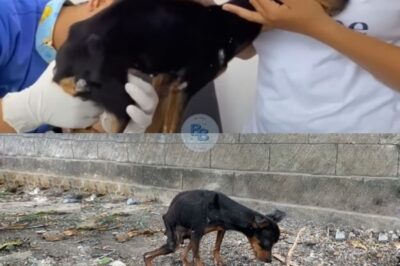Penny’s Path: From Pain and Neglect to a Chance at Love and Healing