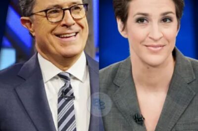 BREAKING: Maddow, Colbert, and Reid Launch a Game-Changing Newsroom! Free from Corporate Control, They’re Exposing Corruption Like Never Before – Traditional Media Is Terrified! Is This the Beginning of a New Era in Journalism? With Their Fearless Reporting and Bold Vision, The Trio Is Shaking the Media World to Its Core. Find Out How This Revolutionary Move Will Change Everything👇👇👇