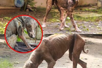 From Despair to Recovery: How Compassion Transformed Natu’s Life Forever