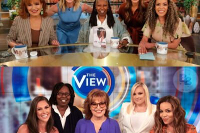 SH0CKING ANNOUNCEMENT: ABC CEO Declares ‘It’s Time to Cancel the Worst Show on TV—THE VIEW!’ The Stunning Decision That Shakes the TV World—What Led ABC to End the Iconic Show After 20 Years?