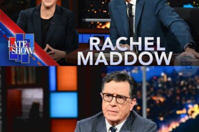 Media Shockwave! Maddow, Colbert, And Reid Secretly Break Free From Corporate Chains To Launch A Fearless Independent Newsroom 😱📰! Combining Maddow’s Sharp Analysis, Reid’s Trusted Credibility, And Colbert’s Biting Wit, The Trio Is Set To Expose Corruption Like Never Before, Electrify Audiences, And Send Shockwaves Through Traditional Networks Scrambling To Respond. Is This The Start Of A Fearless News Revolution? Full Story In Comments 👀👇👇
