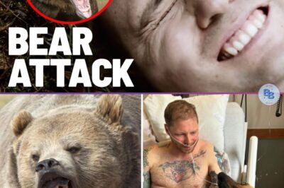 The Unbreakable Bond: How Two Animal Heroes Defied Death in the Wild