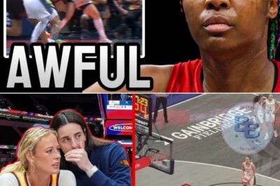 Fans SHOCKED As Footage Shows The TERRIBLE Call That LOST The Game For The Fever…