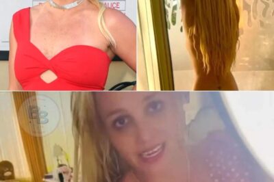 Britney Spears Posts Nude Photo of Herself, with a Strategically Placed Rose Emoji, amid Continued Concern from Fans