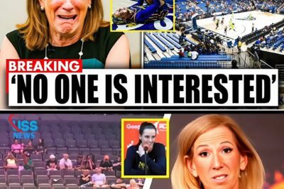 WNBA COLLAPSES: Fans Flee, Ratings Crash, and Ticket Sales Hit Rock Bottom—Is This the End?