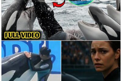SHOCKING! The Real Story Behind Jessica Radcliffe’s Orca Incident—What the Viral Video DIDN’T Show Will Terrify You!
