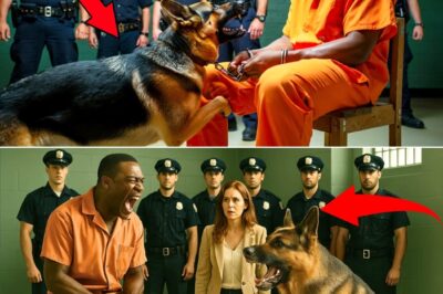 EXPLOSIVE! He Was Minutes Away from Execution—But His Dog’s Final Act Left Guards in Tears and Changed Everything!