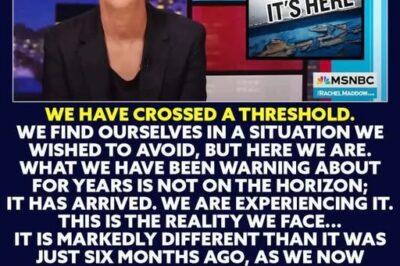 Rachel Maddow’s Shocking Warning: Is the United States Already Living Under a Dictatorship? The MSNBC Host Slams Trump’s Authoritarian Tactics, Calling Out His Aggressive Immigration Policies and the Rise of Secret Police — You Won’t Believe What She Said About the State of America!