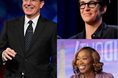 Breaking news revolution! maddow, colbert, and reid abandon corporate control to launch a fearless independent newsroom that has every major network scrambling! frustrated by censorship and politics, the trio fuses unmatched analysis, credibility, and wit to redefine journalism, expose hidden corruption, and ignite a media storm, leaving audiences electrified and traditional networks panicked — the full shocking details are revealed in the comments 👀👇👇