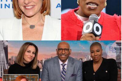 Major Blow to MSNBC: Network Sees 41% Drop in Prime-Time Ratings Despite New Lineup – What Went Wrong?