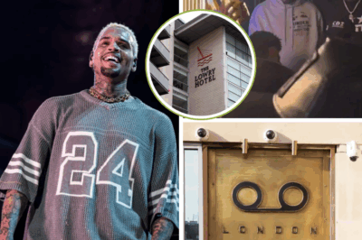 Chris Brown’s Arrest SHOCKS Fans: Did He Really Attack a Producer with a Bottle?