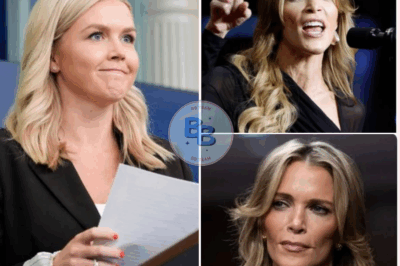 BREAKING: Karoline Leavitt’s Lawsuit Cripples ‘The View’—Megan Kelly’s 12-Word Response Ignites a Media Firestorm