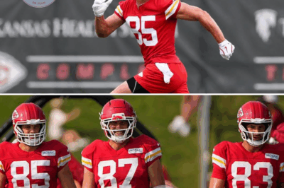 Robert Tonyan Discusses Travis Kelce’s Legendary Work Ethic and the Chiefs’ Tight End Room in 2025