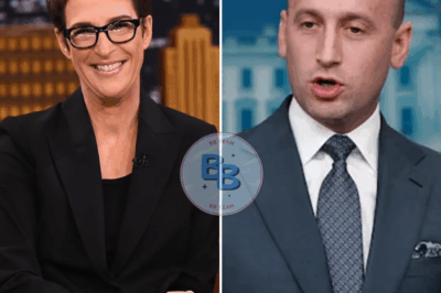 Rachel Maddow’s Chilling Takedown Of Stephen Miller Leaves Washington In Shock