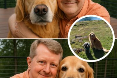 ‘Jeopardy!’ fans can’t stop buzzing after host Ken Jennings unexpectedly shared a heart-melting video of his dog — a clip so adorable it instantly lit up social media. Viewers flooded the comments with laughter, tears, and pure joy, proving that sometimes the simplest moments create the loudest reactions. What started as a sweet glimpse into his private life has now become the viral moment no one saw coming.