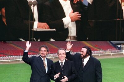 Three legendary opera voices – José Carreras, Plácido Domingo, and Luciano Pavarotti – came together to perform the song “New York, New York” in the renowned concert The Three Tenors at Giants Stadium. Conducted by James Levine, this performance was not only a fusion of classical music and Broadway tunes but also a tribute to the city of New York. The audience at the stadium experienced an electrifying and emotional atmosphere as the three tenors delivered these familiar melodies, making the entire venue come alive.