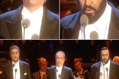 In 1999, the legendary Three Tenors—Luciano Pavarotti, José Carreras, and Plácido Domingo—reunited for a magical performance in Vienna, captured in The Great Man concert. Among the evening’s most unforgettable moments was their rendition of Ave Maria, Dolce Maria, a poignant composition by Pavarotti himself. The trio’s seamless blend of voices, each distinct yet harmoniously intertwined, created a spiritual and emotionally charged atmosphere that brought the tender words of the song to life. This performance was not just a musical achievement but a testament to their artistry, friendship, and shared passion for opera, leaving audiences worldwide moved and awestruck.