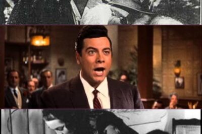 This voice is the Flame from the fire, this is the power of seething waterfalls. Warm ray of the rising morning. The gold of sparkling sunsets. I dedicated these lines to my favorite singer – Mario Lanza. This timeless Neapolitan love song, originally composed in 1930 by Rodolfo Falvo (music) and Enzo Fusco (lyrics), tells the story of a man consumed by love, pleading for someone to deliver his heartfelt confession to the woman he adores. Lanza’s voice elevates the song’s sentiment to an almost operatic level of intensity, making it a masterpiece that continues to captivate listeners decades later.