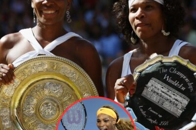 Rising above the label of ‘Venus Williams’ little sister,’ Serena Williams emerged as a tennis legend, ultimately achieving the status of the world’s number one player