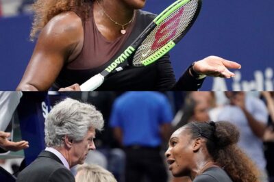 Serena Williams gets support after being sexist by referee and fined $17,000