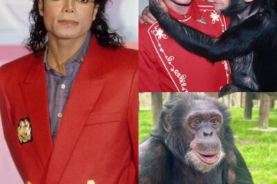 What Happened to Michael Jackson’s Monkey?