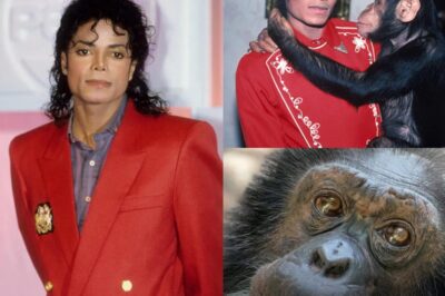 Michael Jackson’s Beloved Chimpanzee Bubbles Turns 42—You Won’t Believe Where He’s Living Now!
