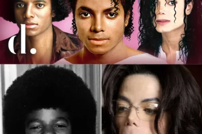 (VIDEO)The Untold Story Behind Michael Jackson’s Hair Evolution (1969–2009)