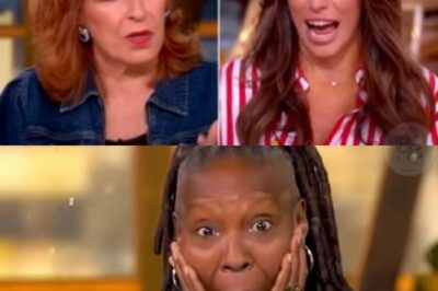 ABC IN CRISIS: Ratings for The View Hit Record Lows After a Controversial Episode Sparks Viewer Backlash. Executives Fear the Show May Be Facing Its Biggest Shake-Up in History as Fans Demand Sweeping Changes.