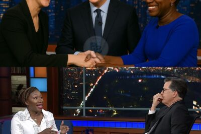 BREAKING NEWS: Rachel Maddow, Stephen Colbert, and Joy Reid Declare Open War on Corporate Media With Secret “Rebel Newsroom” Launch — A Bold New Era of Unfiltered Truth Begins, Sending Shockwaves Through MSNBC and Beyond!