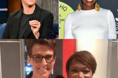 THE SECRET STRATEGY: Joy Reid and Rachel Maddow’s Return to MSNBC After the Controversial Firing of a Top Host Reveals a 20-Year Plan That Could Shake the Entire Network. Executives and Viewers Are Left Stunned as the Alliance Threatens the Status Quo of Cable News.