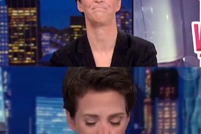 MEDIA EARTHQUAKE: Rachel Maddow breaks away from traditional networks to launch a revolutionary newsroom with unprecedented freedom. With partners Stephen Colbert and Joy Reid, the initiative promises uncensored reporting and fearless storytelling, challenging the old media system and inspiring millions worldwide to rethink the future of journalism.
