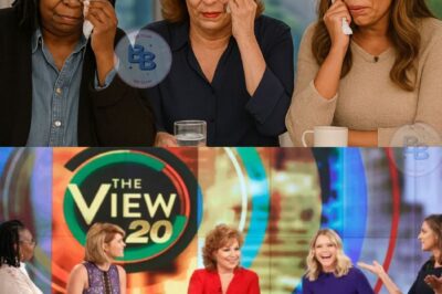 FANS OUTRAGED: The View FIRES Beloved Veteran Host — “No One Asked for This Chaos!” Outrage is spreading as ABC pushes a replacement fans are calling “toxic” and “unwanted.” Will the backlash sink the show?
