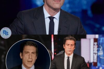 David Muir – The Trusted Face for 22 Years Shocked Everyone by Going Off Script, Revealing a Truth Never Before Disclosed Live on Air