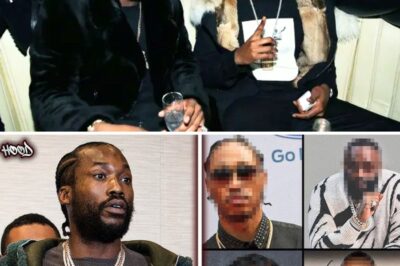 MEEK MILL BREAKS SILENCE: THE SHOCKING LIST OF RAP STARS EXPOSED AT DIDDY’S LEGENDARY PARTIES