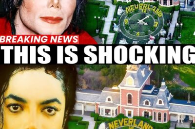 The Ghost of a Dream: The Tragic Fall and Fire Sale of Michael Jackson’s Neverland